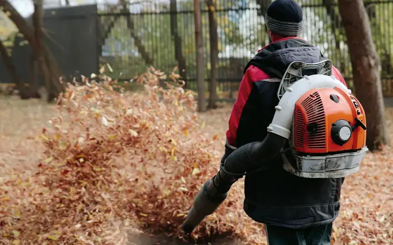 Leaves being blown by a man using a backpack leaf blower