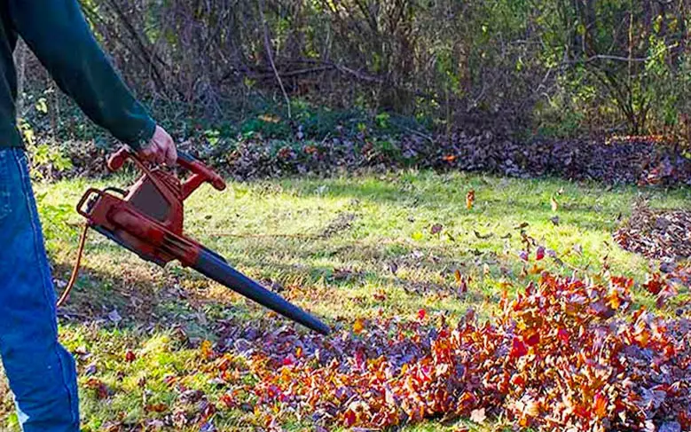 A homeowner using a small corded electric leaf blower