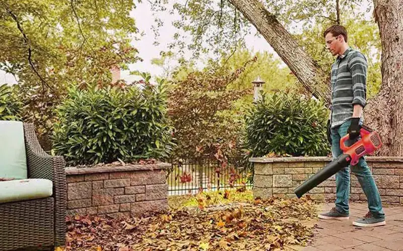 An image showing a homeowner blowing leaves in his garden