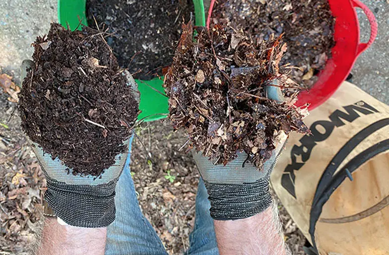 A person holding handfuls of mulched leaves
