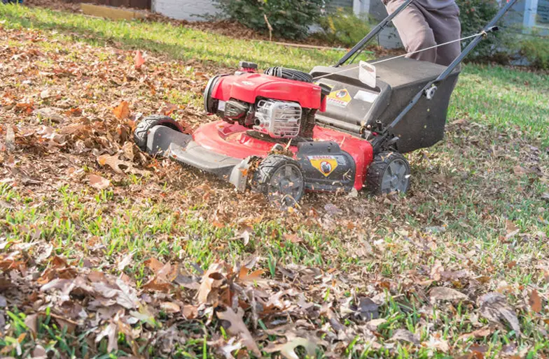 A homeowner using a lawn mower to mulch leaves into his lawn