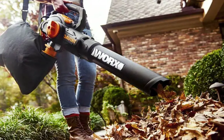 An image showing the modern design of a cordless leaf blower