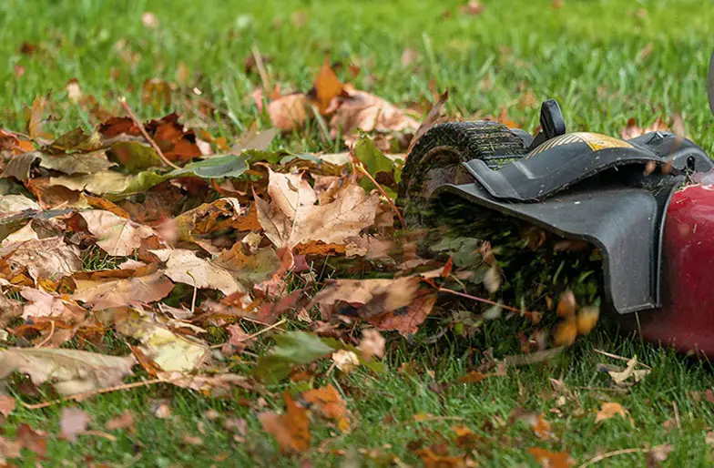 An image showing a lawn mower mulcher mulching leaves on a lawn