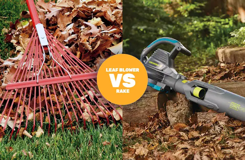 A side by side comparison of a leaf blower vs rake