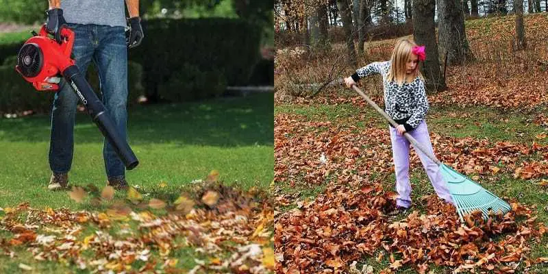 An image showing a leaf blower vs rake being used side by side