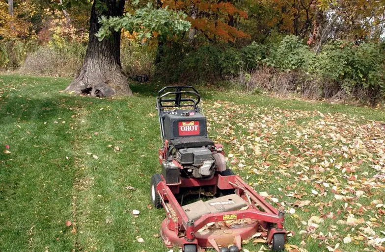 A lawn with many leaves and lawn mower