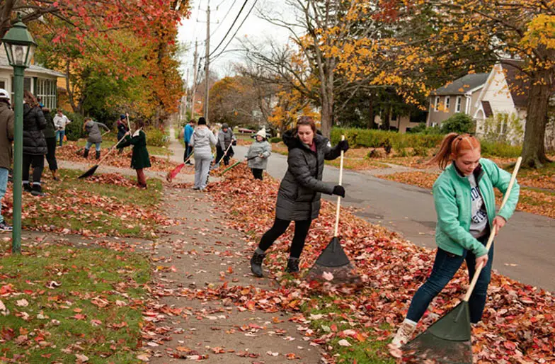 An image showing a street full of people raking autumn leaves off the path