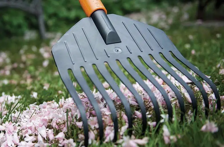 An image showing a shrub rake being used on a lawn