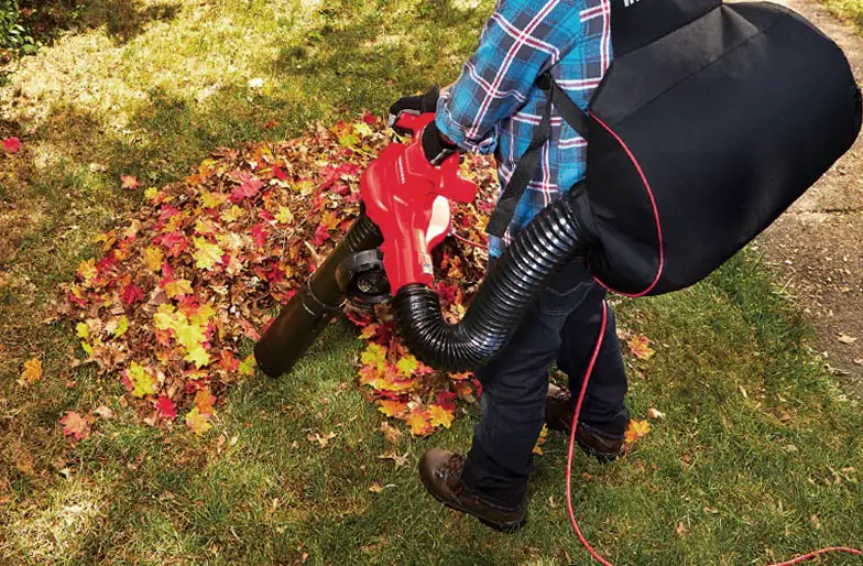 An example of a leaf vacuum being used to vacuum leaves